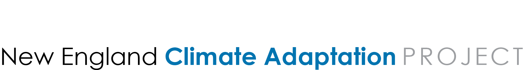 NECAP | New England Climate Adaptation Project logo